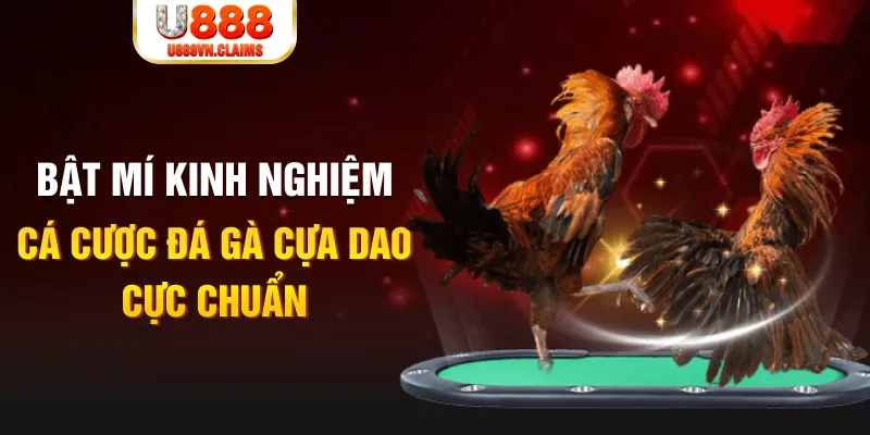 ae789 casino hồ tràm có cho người việt vào không