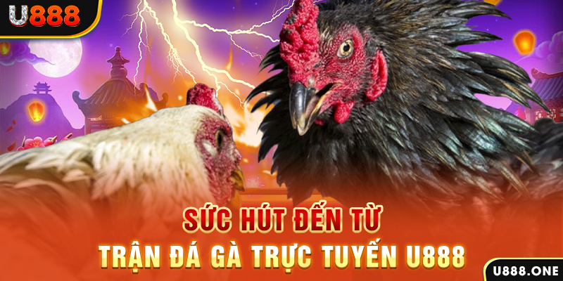 ae789 đăng nhập poker 2024