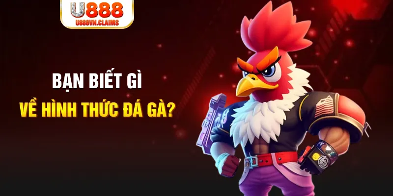 ae789 đăng nhập liêng tặng tiền