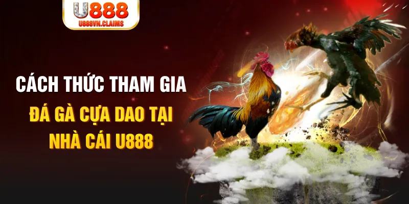 ae789 đá gà 88.com