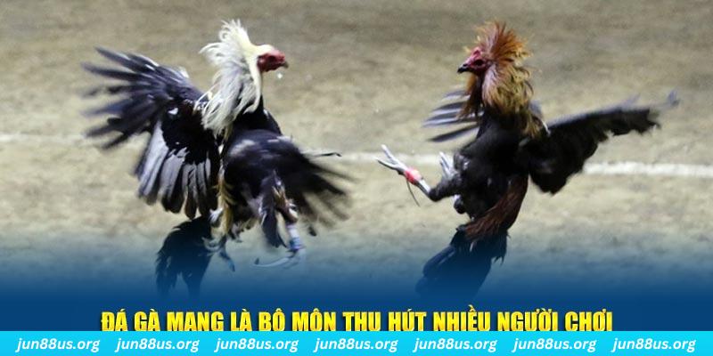 ae789 đăng nhập sòng bạc số 1