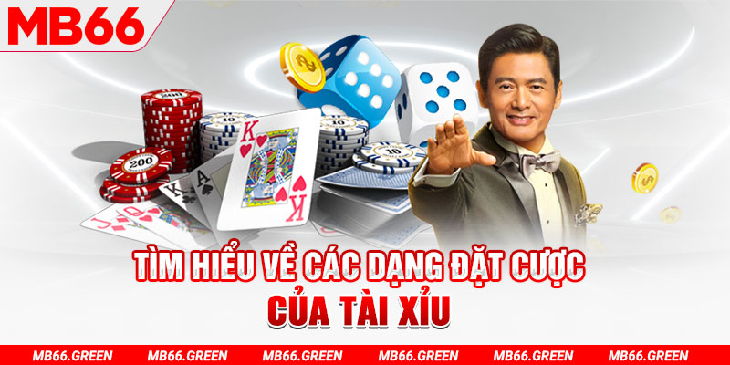 ae789 what is a casino loyalty program