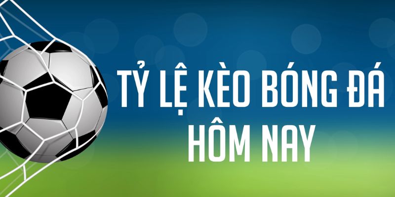 đăng nhập phỏm
