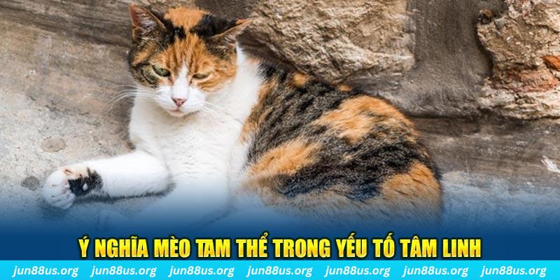 ae789 máy slot game là loại trò chơi gì？
