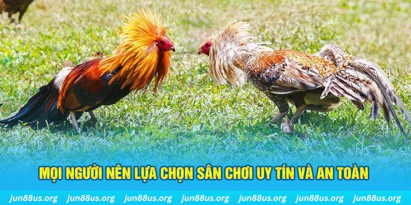 ae789 đăng nhập poker 2025