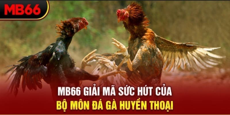 ae789 xổ số đài bắc