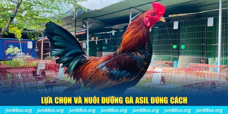 ae789 nổ hũ thần tài là gì