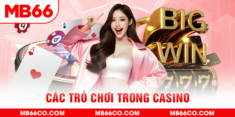 ae789 chổi lông gà
