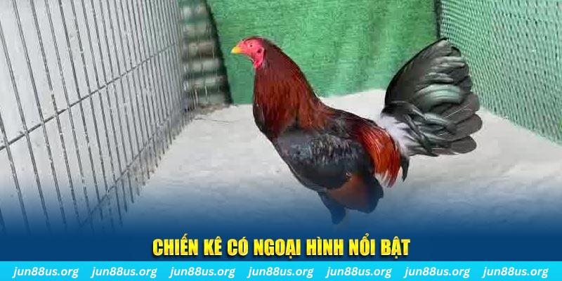 ae789 qq88 bắn cá