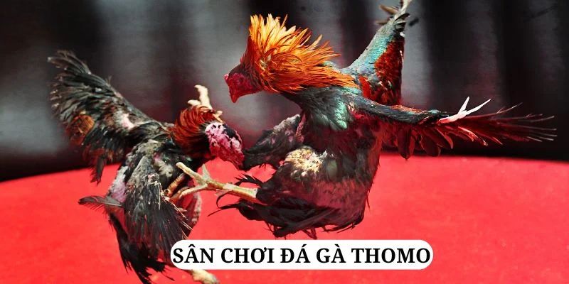 ae789 quay nổ hũ là gì